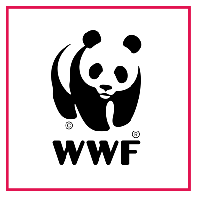 WWF logo